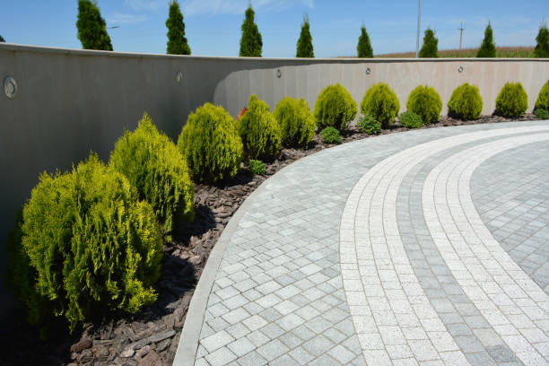 Reasons to Select Us for Your Driveway Paving Requirements in Saucier, MS